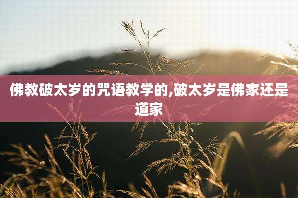 佛教破太岁的咒语教学的,破太岁是佛家还是道家