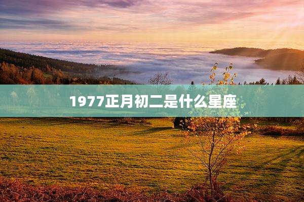 1977正月初二是什么星座