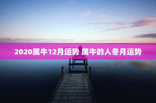 2020属牛12月运势 属牛的人冬月运势