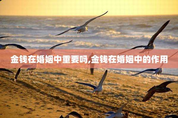 金钱在婚姻中重要吗,金钱在婚姻中的作用