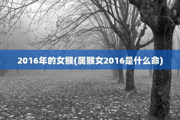 2016年的女猴(属猴女2016是什么命)