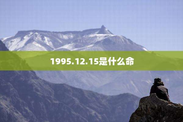 1995.12.15是什么命