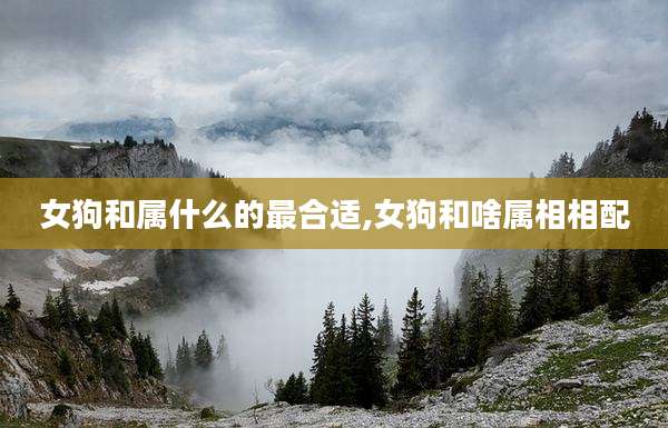 女狗和属什么的最合适,女狗和啥属相相配