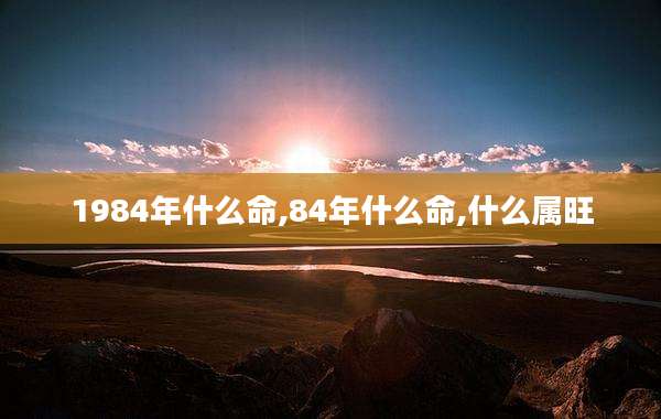 1984年什么命,84年什么命,什么属旺