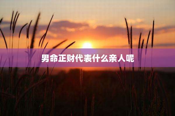 男命正财代表什么亲人呢