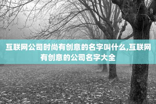 互联网公司时尚有创意的名字叫什么,互联网有创意的公司名字大全