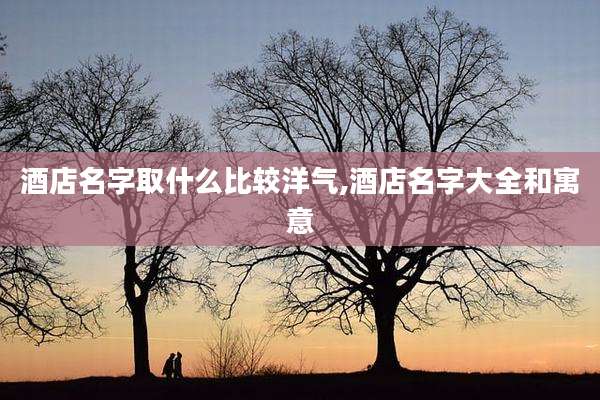 酒店名字取什么比较洋气,酒店名字大全和寓意