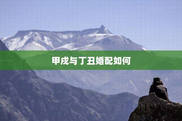 甲戌与丁丑婚配如何