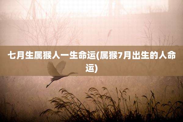 七月生属猴人一生命运(属猴7月出生的人命运)