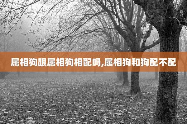 属相狗跟属相狗相配吗,属相狗和狗配不配