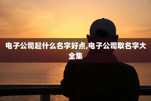 电子公司起什么名字好点,电子公司取名字大全集
