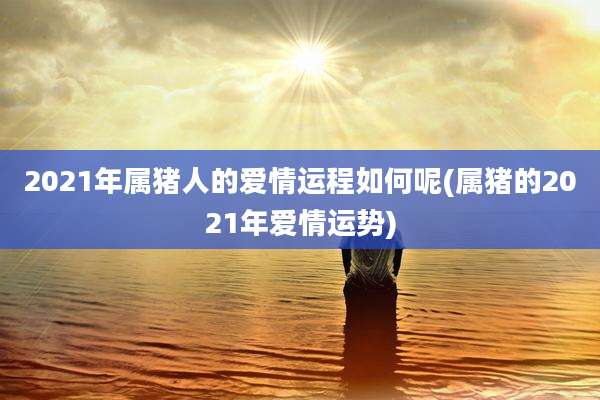 2021年属猪人的爱情运程如何呢(属猪的2021年爱情运势)
