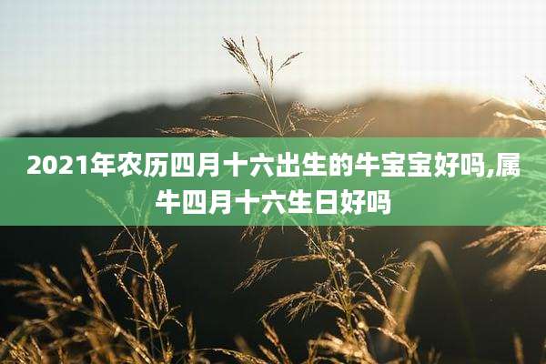 2021年农历四月十六出生的牛宝宝好吗,属牛四月十六生日好吗