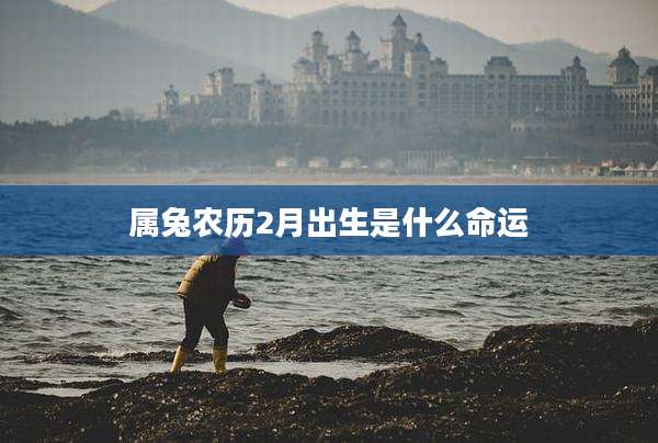 属兔农历2月出生是什么命运