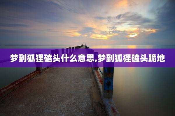 梦到狐狸磕头什么意思,梦到狐狸磕头跪地