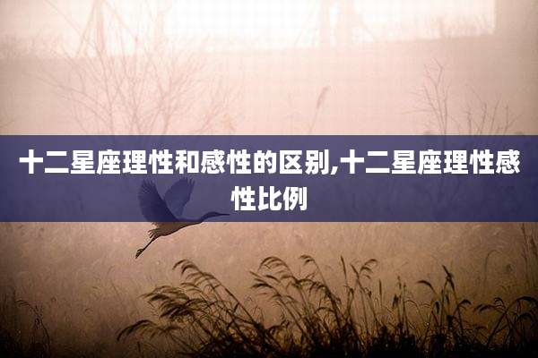 十二星座理性和感性的区别,十二星座理性感性比例