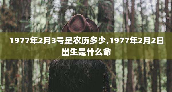 1977年2月3号是农历多少,1977年2月2日出生是什么命