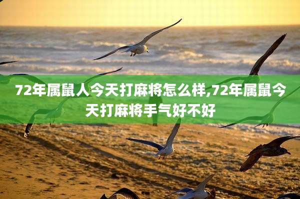 72年属鼠人今天打麻将怎么样,72年属鼠今天打麻将手气好不好