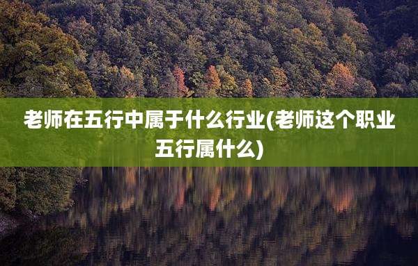 老师在五行中属于什么行业(老师这个职业五行属什么)
