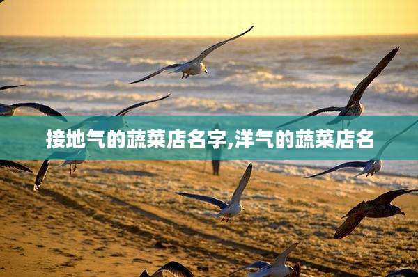 接地气的蔬菜店名字,洋气的蔬菜店名