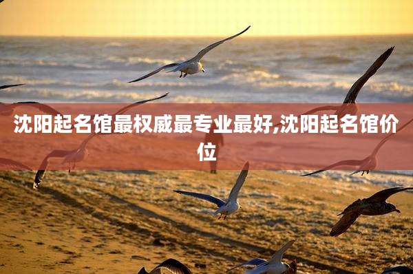 沈阳起名馆最权威最专业最好,沈阳起名馆价位