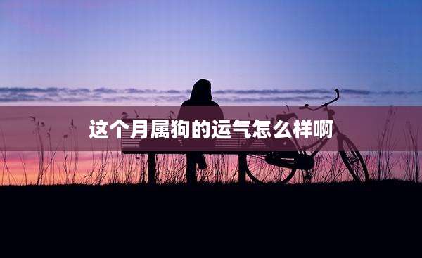 这个月属狗的运气怎么样啊
