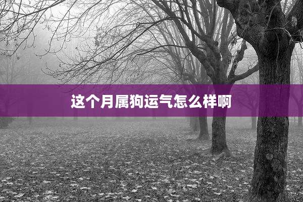 这个月属狗运气怎么样啊