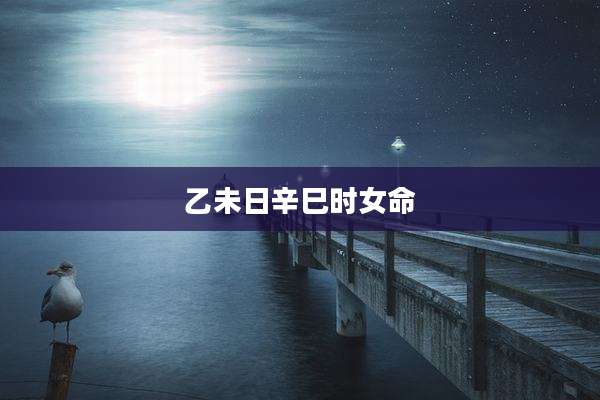 乙未日辛巳时女命