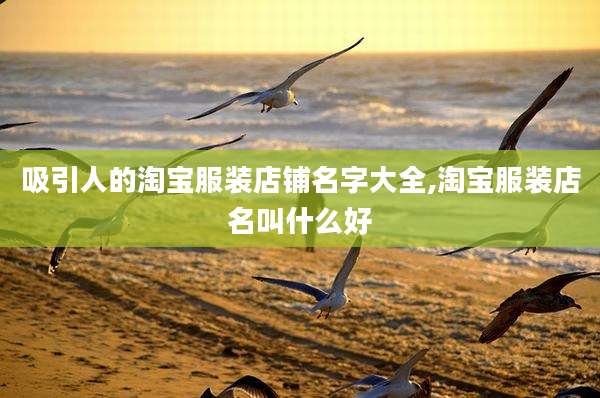 吸引人的淘宝服装店铺名字大全,淘宝服装店名叫什么好