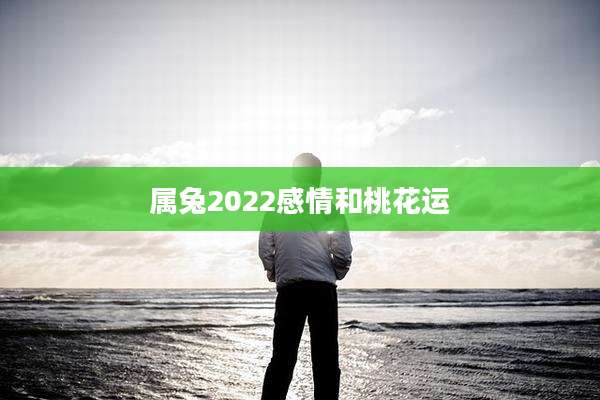属兔2022感情和桃花运