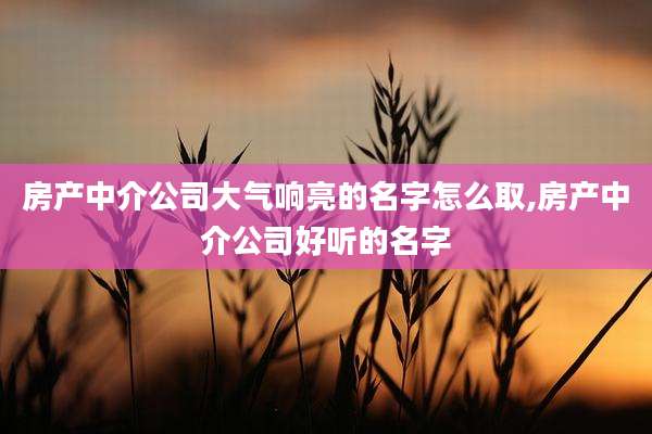 房产中介公司大气响亮的名字怎么取,房产中介公司好听的名字