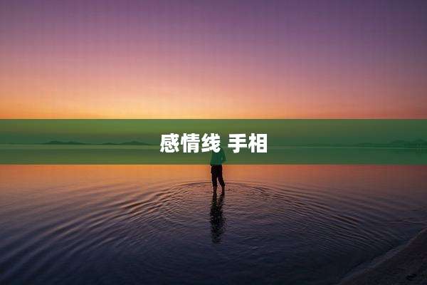 感情线 手相