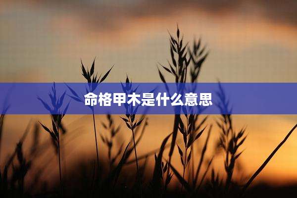 命格甲木是什么意思