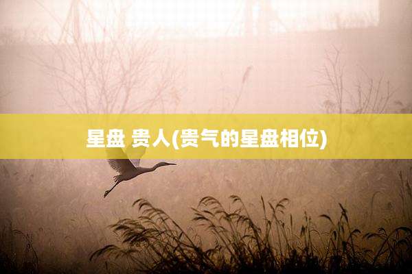 星盘 贵人(贵气的星盘相位)