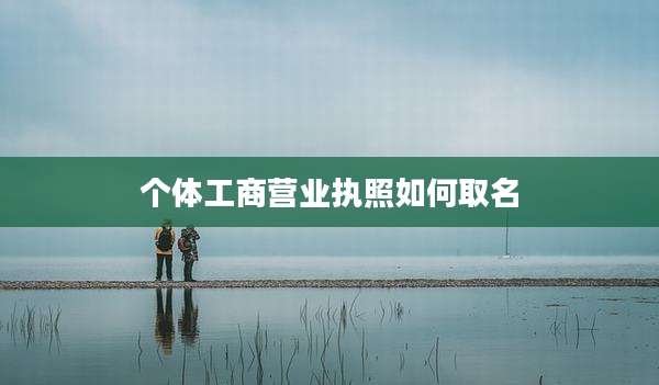 个体工商营业执照如何取名