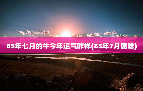 85年七月的牛今年运气咋样(85年7月属啥)