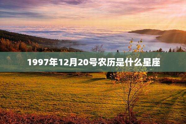 1997年12月20号农历是什么星座