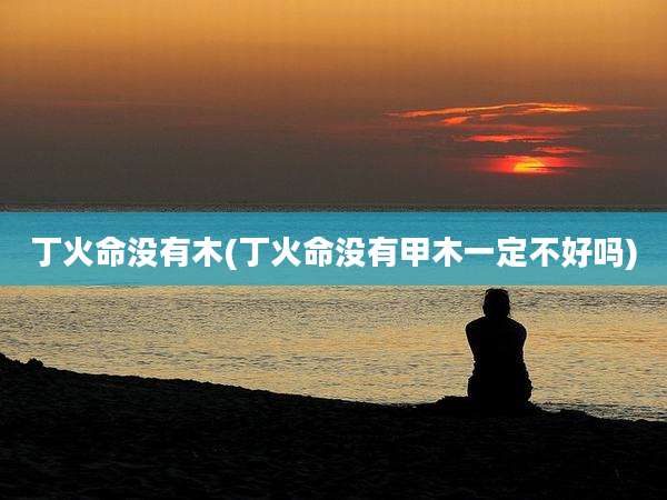 丁火命没有木(丁火命没有甲木一定不好吗)