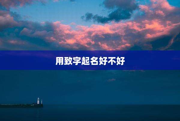 用致字起名好不好