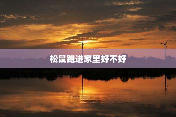 松鼠跑进家里好不好