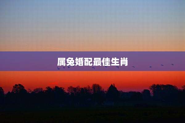 属兔婚配最佳生肖