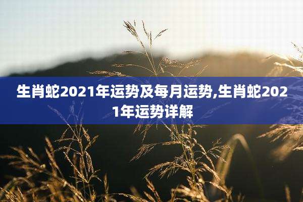 生肖蛇2021年运势及每月运势,生肖蛇2021年运势详解