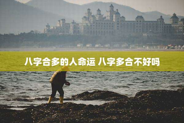 八字合多的人命运 八字多合不好吗