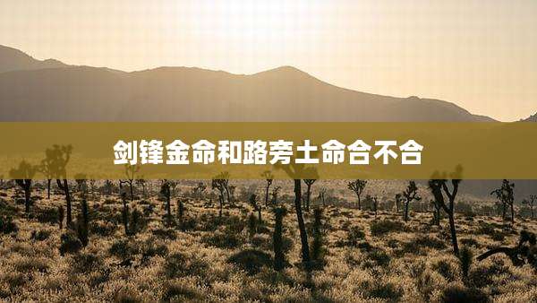 剑锋金命和路旁土命合不合