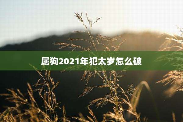 属狗2021年犯太岁怎么破