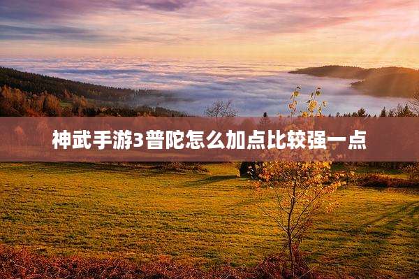 神武手游3普陀怎么加点比较强一点