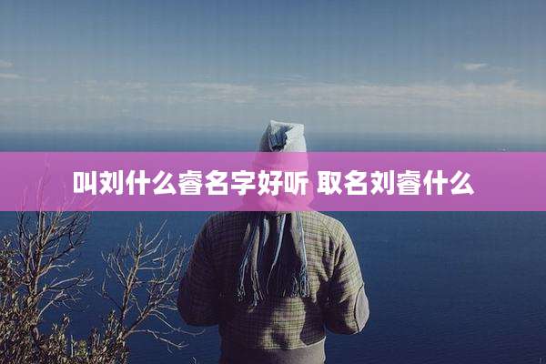 叫刘什么睿名字好听 取名刘睿什么