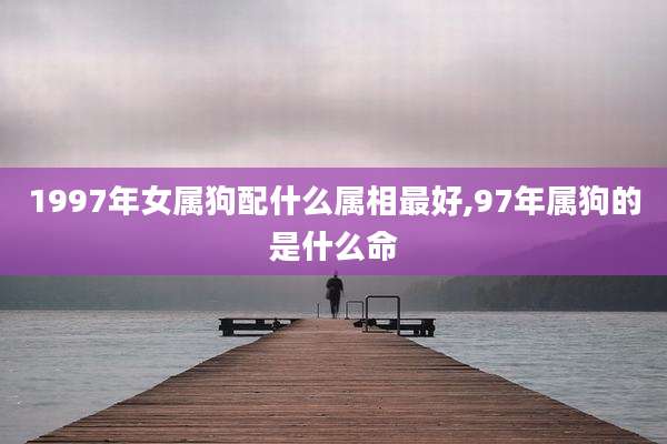 1997年女属狗配什么属相最好,97年属狗的是什么命