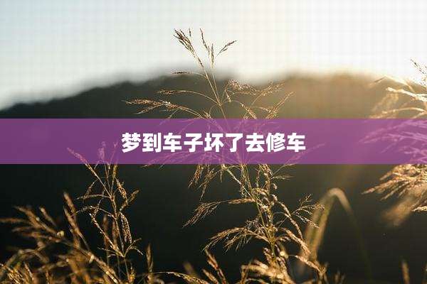 梦到车子坏了去修车
