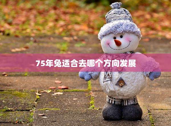 75年兔适合去哪个方向发展